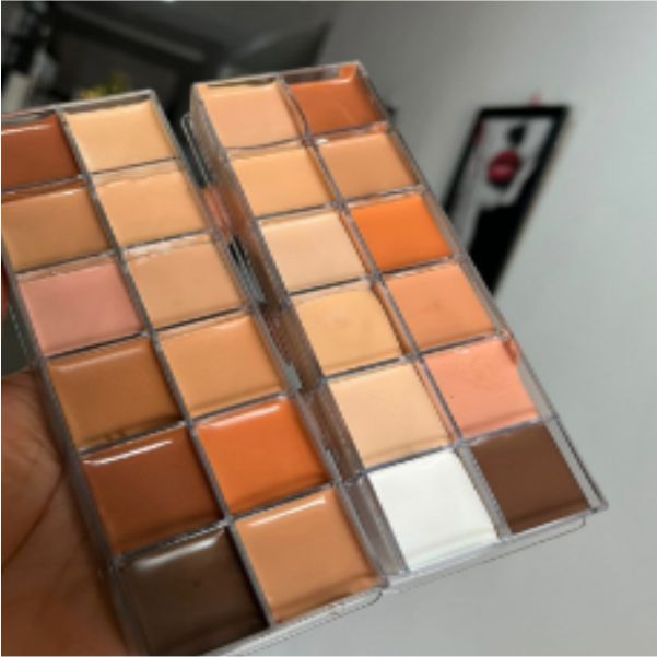 FayreGold 12in1 Concealer Palette - Makeup Palette with 12 Shades for Concealing and Highlighting